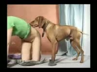 Scooby doo dog porn tube with gay